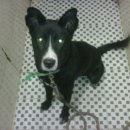 경기마트 앞 이미지