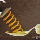 디자인명당 이미지