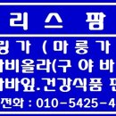 카리스팜스