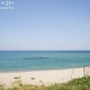 레일바이크 이미지