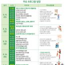 대나무축제 연계프로그램 <관방제림, 이몽룡과 전우치를 만나다> | 2024 담양 대나무축제 기본정보(죽녹원,관방제림)