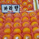 모드락농원 이미지