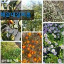 (주)부산광역주거복지센터 | 부산 노인요양 요양센터 정보 해운대실버홈 친절한 돌봄과 쾌적 환경