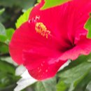 (주)한림 이미지