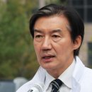 패자부활전