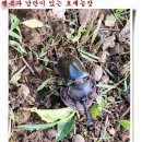 이박삼일 이미지