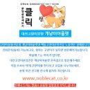심쿵냥고양이분양
