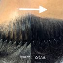 루멘헤어 이미지