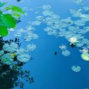 황금세탁 이미지