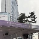 밝은누리2호발전소 | 을지로입구역 미용실 그라벨르헤어 을지로점 | 린원장님 톤다운 염색 후기