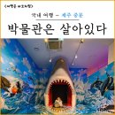 박물관은 살아있다 제주도 중문 가볼만한곳 실내 테마파크 입장료와 관람 후기