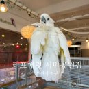 화실리프 | 부산 이색데이트 할 곳 찾으신다면 ? 부산 데이트할 곳 추천 기념일 데이트