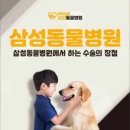 양구동물병원 이미지