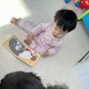 #멍멍 이미지