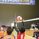 남춘천초등학교 이미지