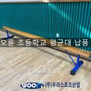 서울오륜초등학교 평균대 납품