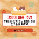 동수사랑동물병원 이미지