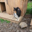 쭈니와비니 이미지