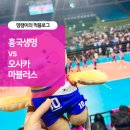 마블러스 | 훙국생명 배구 핑크스파이더스 vs 오사카마블러스 경기 후기