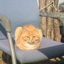 천기농장 이미지