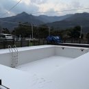 가평 댕댕이 애견 풀빌라 펜션 블루 이미지