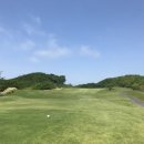 드림골프클럽 이미지