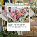 나무플라워앤플랜트