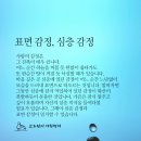 표면 감정, 심층 감정 이미지