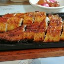 힘센 민물장어 이미지