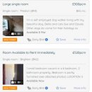 브라이튼어학원 이미지