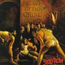 나의 두번째 록 메틀 cd 구입기 - Slave to the Grind 이미지