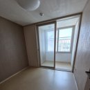 한선파라타운 이미지