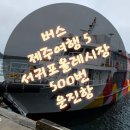 정류장_모슬포 남항 여객선 터미널 | 버스로 제주여행 5 서귀포올레시장 500번 운진항 - 비내리는 서귀포