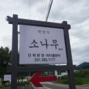 한정식 소나무 앞 이미지