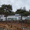 세븐일레븐 울산언양스마트점 | 언양카페 파인포레스트 -울산 대형 카페 후기