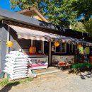 비발디 캠핑파크 이미지