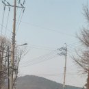 초이카모터스