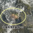 행운대박로또전문점 이미지