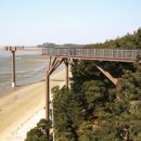 장항농장 이미지