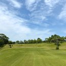 골프아이(360) 이미지