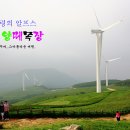 호미목장 이미지