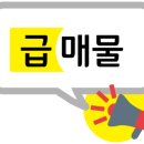 사파동119 이미지