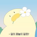 [한남동] - 콘하스 한남점 카페후기_feat. 목련맛집
