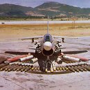 F-8 Daum카페
