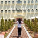 공정 1390 | 통영 감성카페 추천 베로나835 베이글 맛집 내돈내산 후기