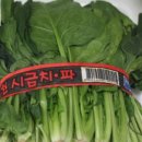 오장육부 Daum카페
