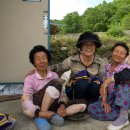 안동2리 이미지