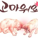 우진온누리약국 이미지