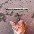 항구커피숍 이미지