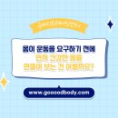굿바디 운동센터 이미지